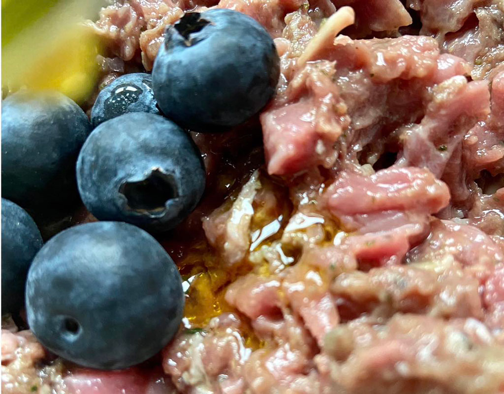 Dog Nutrition